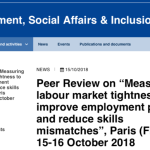 <strong>Measuring labour market tightness to improve employment policies and reduce skills mismatches</strong></br>Participation in a Peer Review on measuring labour market tightness  under the Mutual Learning Programme of the European Commission, DG Employment, Social Affairs and Inclusion